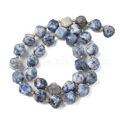 Natural Blue Spot Jasper Beads Strands&nbsp;G-U023-A05-01