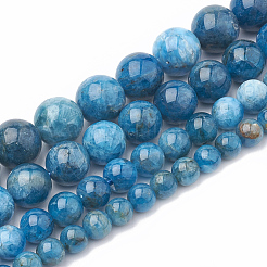 Natural Apatite Beads Strands&nbsp;G-S333-8mm-012