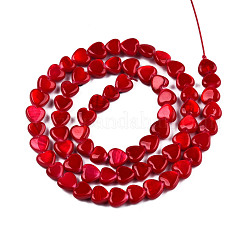 Spray Painted Natural Freshwater Shell Beads Strands&nbsp;SHEL-N026-69A