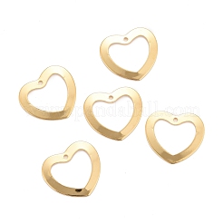 201 Stainless Steel Pendants&nbsp;STAS-K217-72G