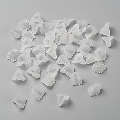 Transparent Acrylic Beads&nbsp;X-PL622-9