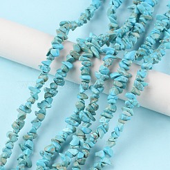 天然石ハウライトビーズ連売り  染め  チップ  1.5~4.5x3~13x2.5~8mm  穴：0.6mm  30.94~31.97インチ（78.6~81.2cm）&nbsp;G-G0003-B21