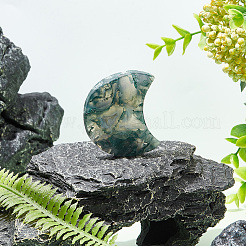 天然の苔の瑪瑙のホームディスプレイの装飾  ムーン  50~60x40~50x10~20mm&nbsp;DIY-WH0410-63B