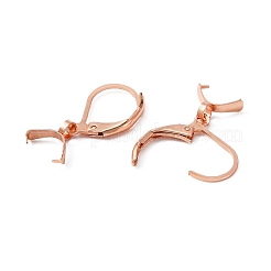 304 Stainless Steel Leverback Earring Findings&nbsp;STAS-WH0031-19RG