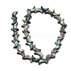Natural Abalone Shell Paua Shell Beads Strands&nbsp;SSHEL-M021-08A