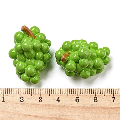 Fruit Opaque Resin Decoden Cabochons&nbsp;RESI-H156-01-01