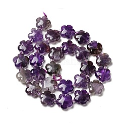 Natural Amethyst Beads Strands&nbsp;G-D475-02K