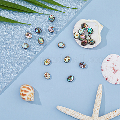 20Pcs Abalone Shell/Paua Shell Beads&nbsp;SSHEL-FI0001-03