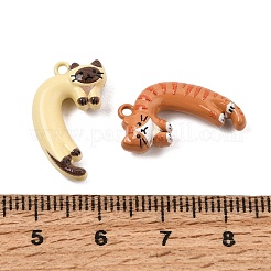 スプレープリント合金ペンダント  猫の形のチャーム  ミックスカラー  20x12x5mm  穴：1.5mm&nbsp;AL-CBAD39A-03