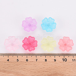 透明な艶消しアクリルビーズキャップ  5花びら  花  ミックスカラー  16.5x6mm  穴：1.6mm&nbsp;X-MACR-S371-04A