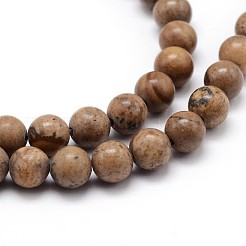 Natural Picture Jasper Round Bead Strands&nbsp;G-J303-08-6mm