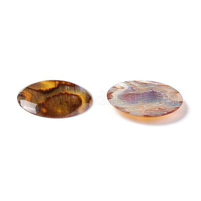 Paua Shell Cabochons&nbsp;SSHEL-C008-08-1