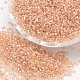 8/0 Round Glass Seed Beads&nbsp;SEED-J017-F8-672-1