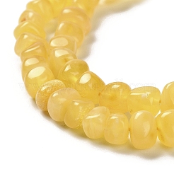 Natural Amber Beads Strands&nbsp;G-L095-J01-02