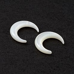 ナチュラルホワイトシェルビーズ  ムーン  貝殻色  15x13x3mm  穴：0.8mm&nbsp;SSHEL-M021-14