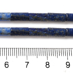 Natural Lapis Lazuli Beads Strands&nbsp;G-B091-A15-01