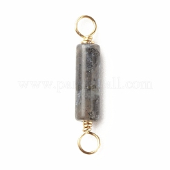 Natural Larvikite Connector Charms&nbsp;PALLOY-JF01454-05