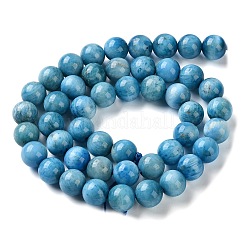 天然石アパタイトビーズ連売り  ラウンド  7.8~8.8mm  穴：0.8mm  約52~57個/連  15.08~15.55インチ（38.3~39.5cm）&nbsp;G-C268-B03-02