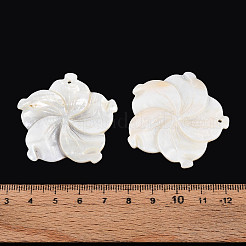 Natural Freshwater Shell Carved Pendants&nbsp;SHEL-N038-15
