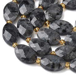 Natural Larvikite Beads Strands&nbsp;G-A295-A03-01