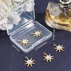 Glass Pendants&nbsp;KK-BBC0003-60