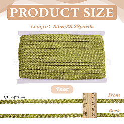 Metallic Polyester Braided Lace Trim&nbsp;OCOR-WH0108-20B
