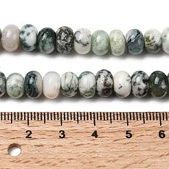 Natural Tree Agate Beads Strands&nbsp;G-A280-A04-02