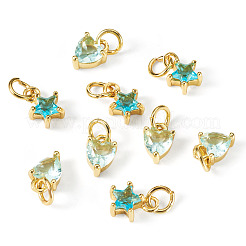 12Pcs 2 Styles Brass Micro Pave Cubic Zirconia Charms&nbsp;KK-TA0008-70E