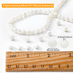 2 Strands Natural Trochid Shell/Trochus Shell Beads Strands&nbsp;BSHE-BC0001-07