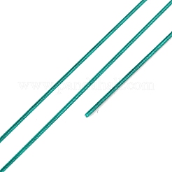 7-Strand Round Nylon Coated Steel Wire&nbsp;TWIR-T002-01A-07