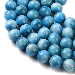 天然石アパタイトビーズ連売り  ラウンド  7.8~8.8mm  穴：0.8mm  約52~57個/連  15.08~15.55インチ（38.3~39.5cm）&nbsp;G-C268-B03-02
