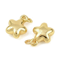 Brass Pendants&nbsp;KK-D218-11G-02