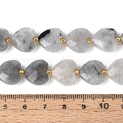 Natural Labradorite Beads Strands&nbsp;G-P592-B14-01