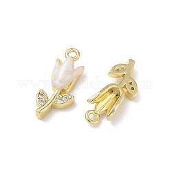Brass Micro Pave Clear Cubic Zirconia and Enamel Charms&nbsp;KK-A300-22G