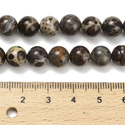 天然アストロライトジャスパービーズ連売り  ラウンド  8.5mm  穴：0.8mm  約47個/連  15.47''（39.3センチメートル）&nbsp;G-F814-A01-8mm