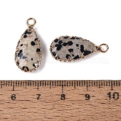 Natural Dalmatian Jasper Faceted Pendants&nbsp;G-Q606-104G-05