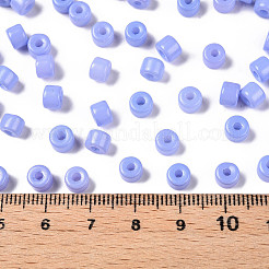 Opaque Baking Paint Glass Seed Beads&nbsp;SEED-T008-02R