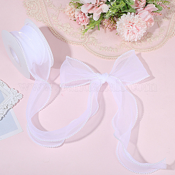 Polyester Ribbons&nbsp;SRIB-WH20020-065B