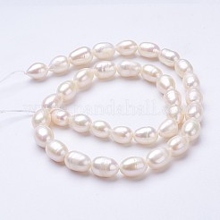 Natural Cultured Freshwater Pearl Beads Strands&nbsp;PEAR-P002-13-01