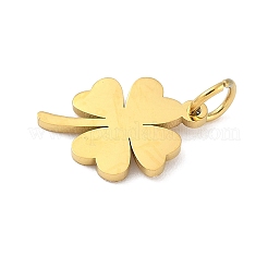 304 Stainless Steel Charms&nbsp;STAS-M120-07C-G