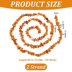 天然淡水シェルビーズ連売り  チップ  染め  オレンジ  5~8x5~8x2~6mm  穴：1mm  30.71~32.28''（78~82センチメートル）&nbsp;BSHE-WH0006-05A