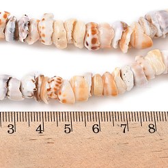 天然石シェルビーズ連売り  半円  9~11.5x9.5~10x3~7mm  穴：1.2mm  約98~114個/連  15.24~16.26''（38.7~41.3センチメートル）&nbsp;SSHEL-F304-01