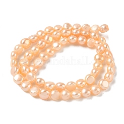 Natural Cultured Freshwater Pearl Beads Strands&nbsp;PEAR-C004-21B