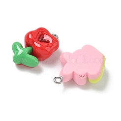 Opaque Resin Pendants&nbsp;RESI-I339-05P