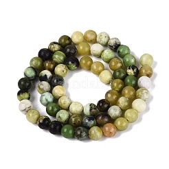 Natural Serpentine Beads Strands&nbsp;G-Q616-07B