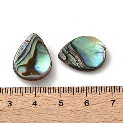 Natural Paua Shell Beads&nbsp;SSHEL-F305-02B