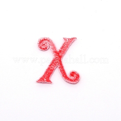 Computerized Embroidery Cloth Iron on/Sew on Patches&nbsp;DIY-TAC0007-90X