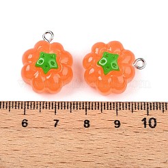 Opaque Resin Pendants&nbsp;RESI-N039-124