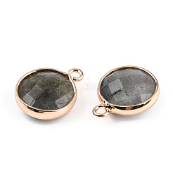 Natural Labradorite Charms&nbsp;G-Q998-026E