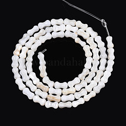 Natural Freshwater Shell Beads Strands&nbsp;SHEL-N038-01